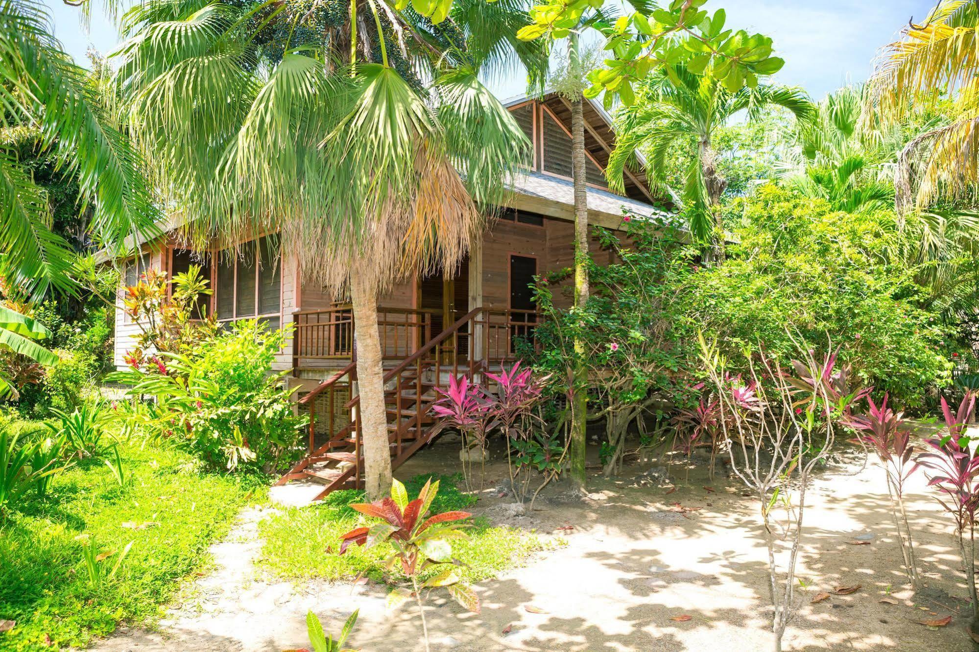 Casa Flores Palmetto Bay Ngoại thất bức ảnh