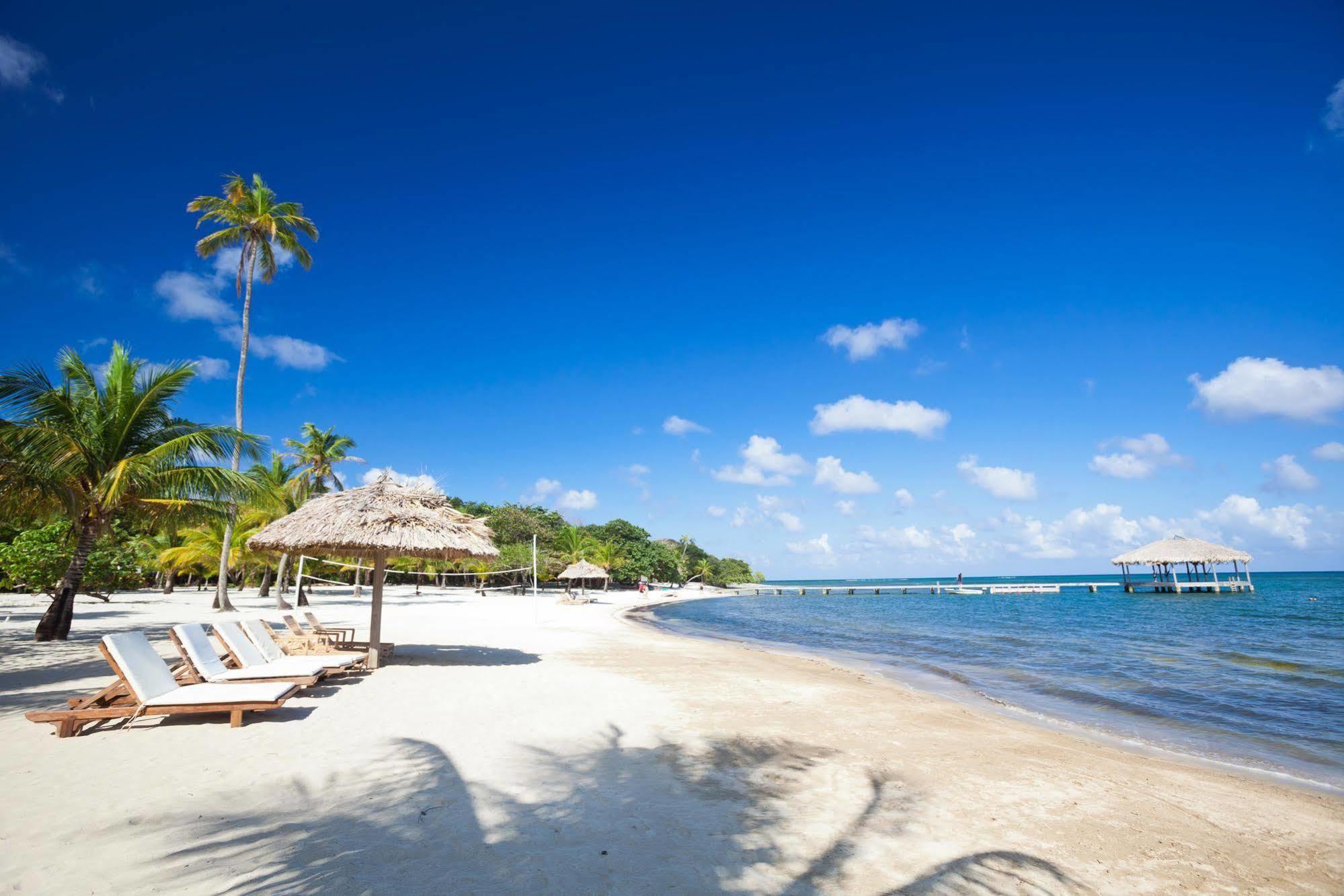 Casa Flores Palmetto Bay Ngoại thất bức ảnh