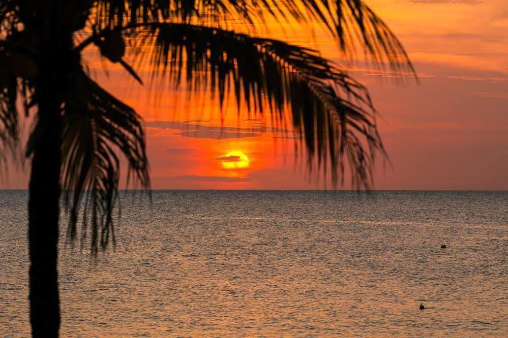 Casa Flores Palmetto Bay Ngoại thất bức ảnh